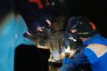 Повредил ногу в лесу, а рядом бродил медведь