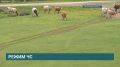 ����� �� ����� � ����������� ������ ��-�� ���������� ���������