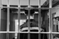 Житель города Иркутска осужден к 8 годам лишения свободы за финансирование терроризма