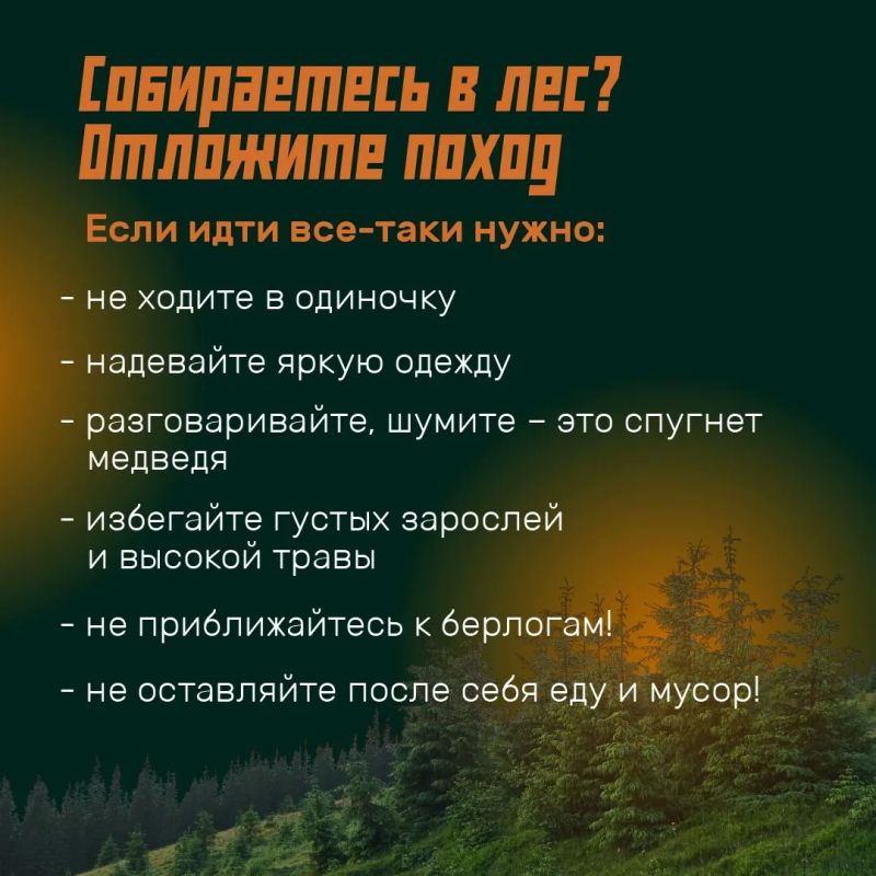 Режим повышенной готовности из-за медведей вводят на всей территории Иркутской области Режим повышенной готовности из-за медведей вводят на всей территории Иркутской области