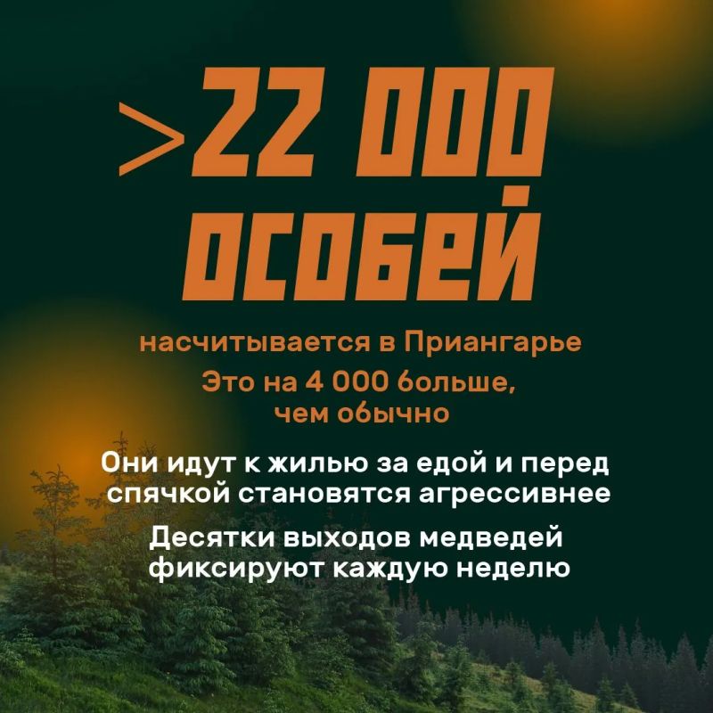 Режим повышенной готовности из-за медведей вводят на всей территории Иркутской области Режим повышенной готовности из-за медведей вводят на всей территории Иркутской области