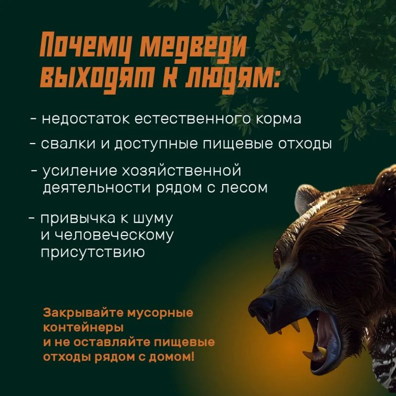 Режим повышенной готовности из-за медведей вводят на всей территории Иркутской области Режим повышенной готовности из-за медведей вводят на всей территории Иркутской области