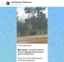 В Забайкалье у женщины конфисковали смартфон за ИИ-фото медведя