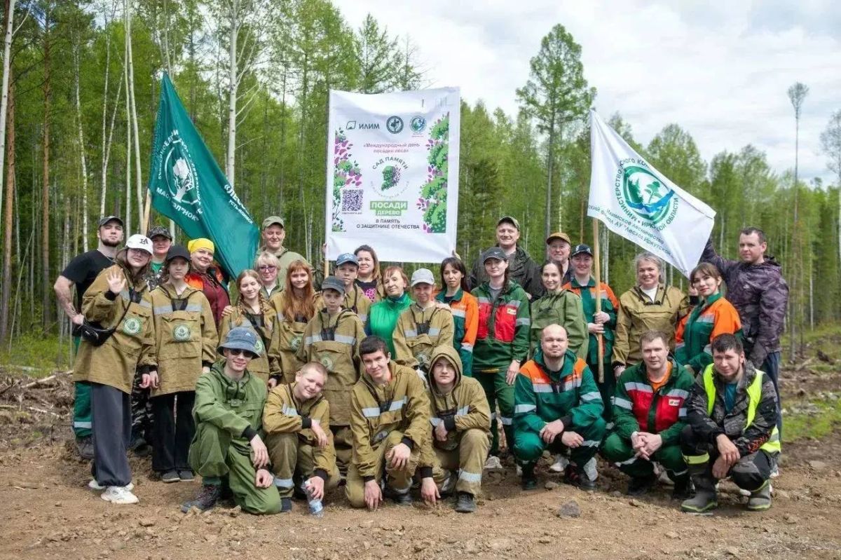 Лесные богатства Приангарья: труд и гордость региона Лесные богатства Приангарья: труд и гордость региона