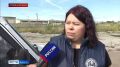 Очередную партию гуманитарной помощи собрали жители Иркутской области для наших бойцов в зону СВО