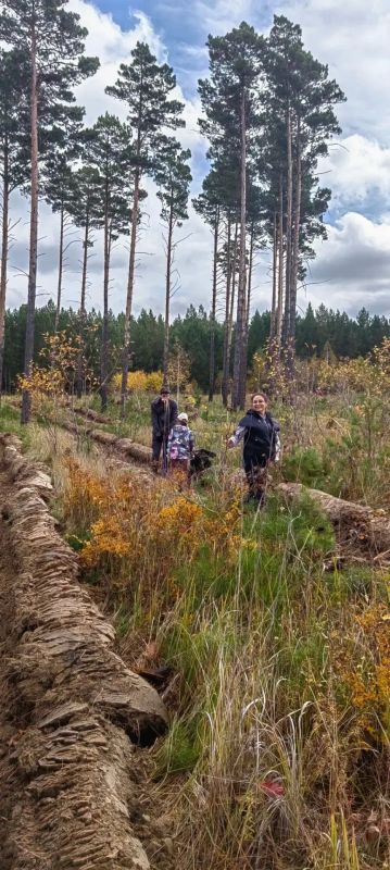Сотрудники Контрольно-счетной палаты Иркутской области с семьями приняли участие в ежегодной акции «Сохраним лес», организованной министерством лесного комплекса Иркутской области в минувшие выходные Сотрудники Контрольно-счетной палаты Иркутской области с семьями приняли участие в ежегодной акции «Сохраним лес», организованной министерством лесного комплекса Иркутской области в минувшие выходные