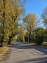 Доброе утро, Иркутск!. Улица Шпачека