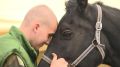День открытых дверей провели в конном клубе «Гармония» в Шелеховском районе