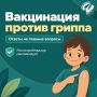 Когда лучше сделать прививку от гриппа и кому она особенно необходима?