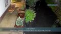 Полторы тысячи сообщений о выходах медведей к людям поступило в Иркутской области