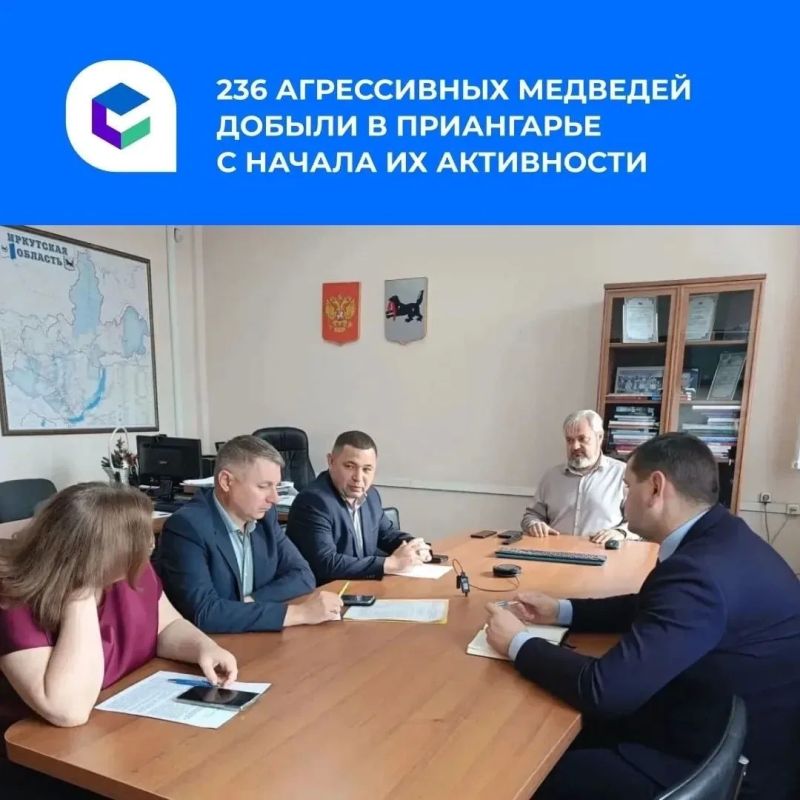 В Иркутской области продолжают реагировать на выходы медведей