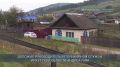 Узелковый дерматит стал причиной введения режима ЧС в Захальском МО в Эхирит-булагатском районе