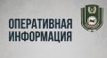 За прошедшие сутки в Систему-112 Иркутской области поступило 82 сообщения о появлении медведей