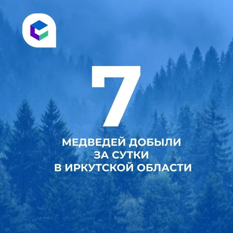 За минувшие сутки в Иркутской области добыли семь медведей