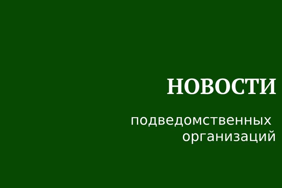 ГАУИО «Ирэкспертиза» выданы положительные заключения государственной экспертизы проектной документации в части проверки достоверности определения сметной стоимости в период с 14.09.2026-18.09.2026 по объектам экспертизы: