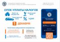 Минздрав Иркутской области напоминает о правилах уплаты налогов
