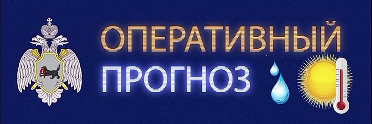 Предупреждение об опасных метеорологических явлениях погоды
