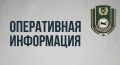 За прошедшие сутки в Систему-112 Иркутской области поступило 71 сообщение о появлении медведей