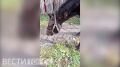 ������� ������ ��������. ������ �������� ��������� ������� ��� �������: ��� ��������? ������� ���������� ������������� ������ ������� ����� �� ������, �� ��������� ����� ������� ������