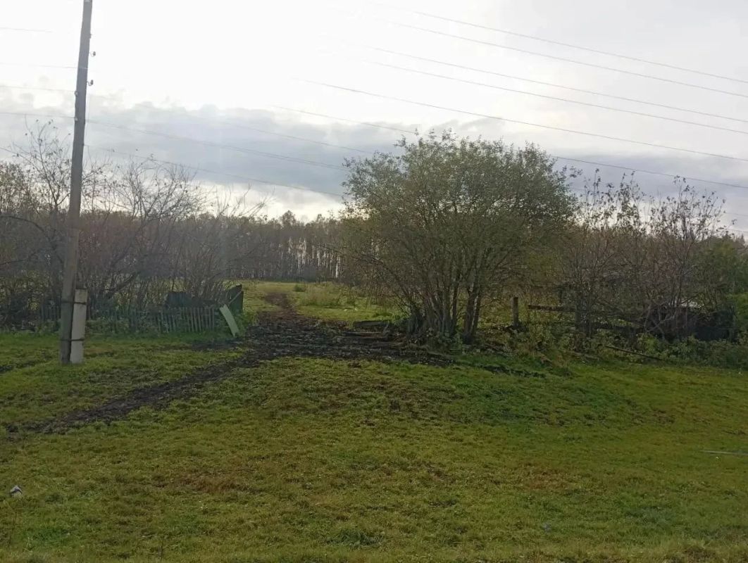 Медведь убил женщину во дворе ее дома в Красноярском крае Медведь убил женщину во дворе ее дома в Красноярском крае