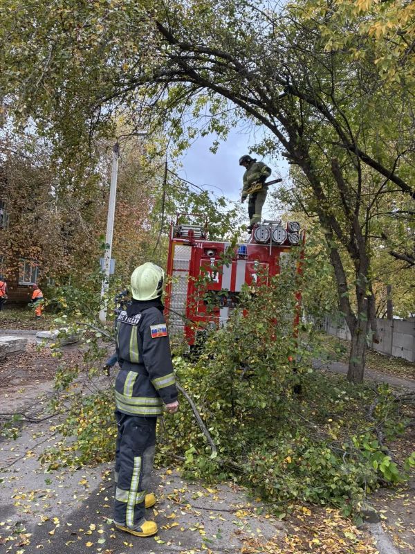 Сотрудники МЧС вышли на субботник в Иркутске Сотрудники МЧС вышли на субботник в Иркутске