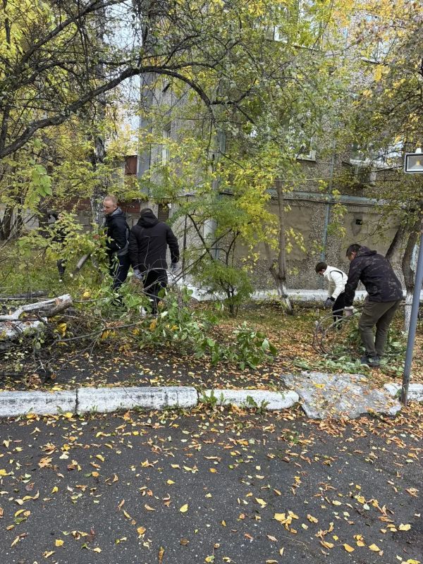 Сотрудники МЧС вышли на субботник в Иркутске Сотрудники МЧС вышли на субботник в Иркутске