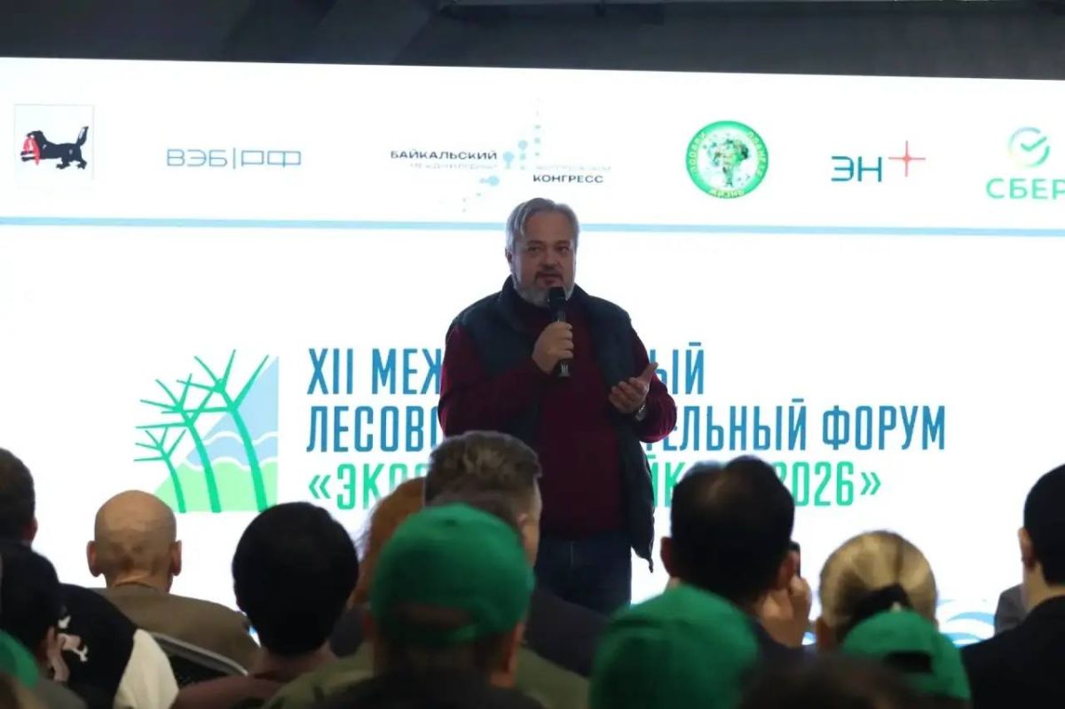 В Байкальске высадили 4 тысячи сосен В Байкальске высадили 4 тысячи сосен