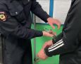 � ��������� ������ ����������� ��������� �������, �������������� � ��������� ������ �������� �����������