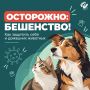 28 сентября отмечается Всемирный день борьбы с бешенством