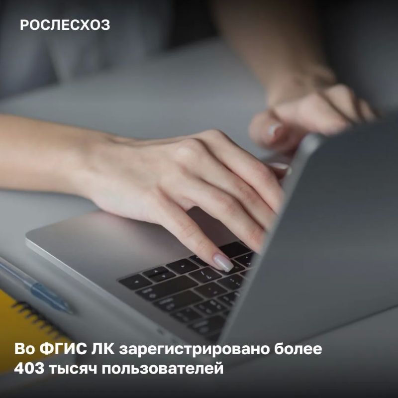 Во ФГИС Лесного комплекса зарегистрировано более 403 тыс