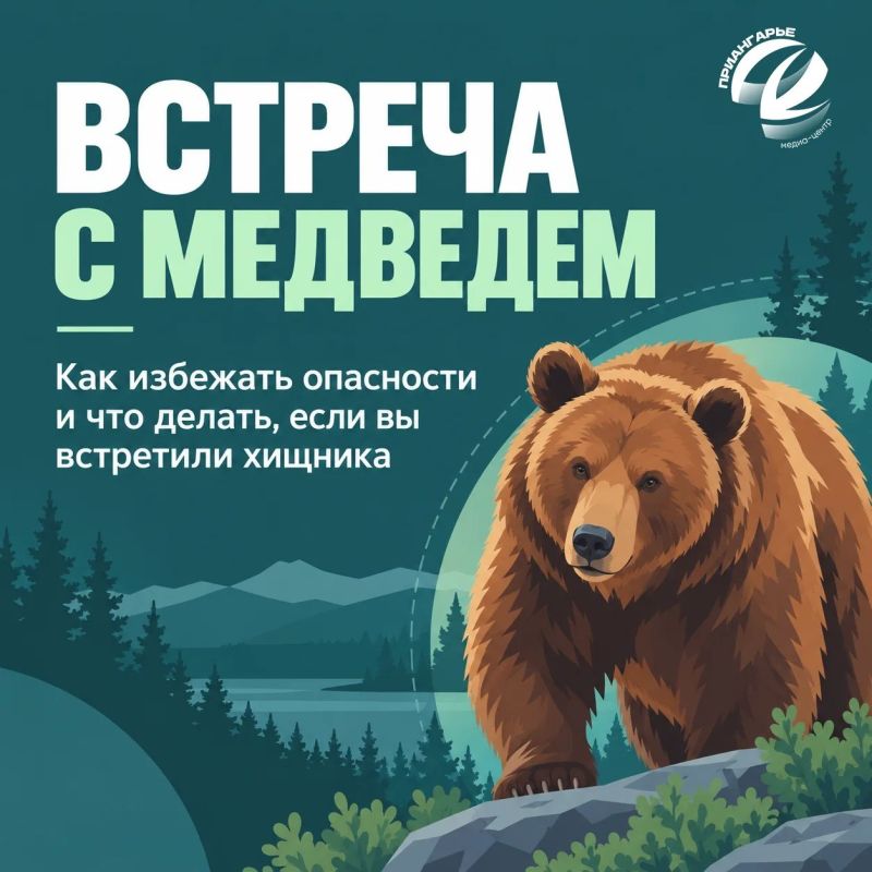 Что делать при встрече с медведем?