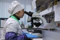 Служба ветеринарии Иркутской области призывает население не приобретать животноводческую продукцию без документов