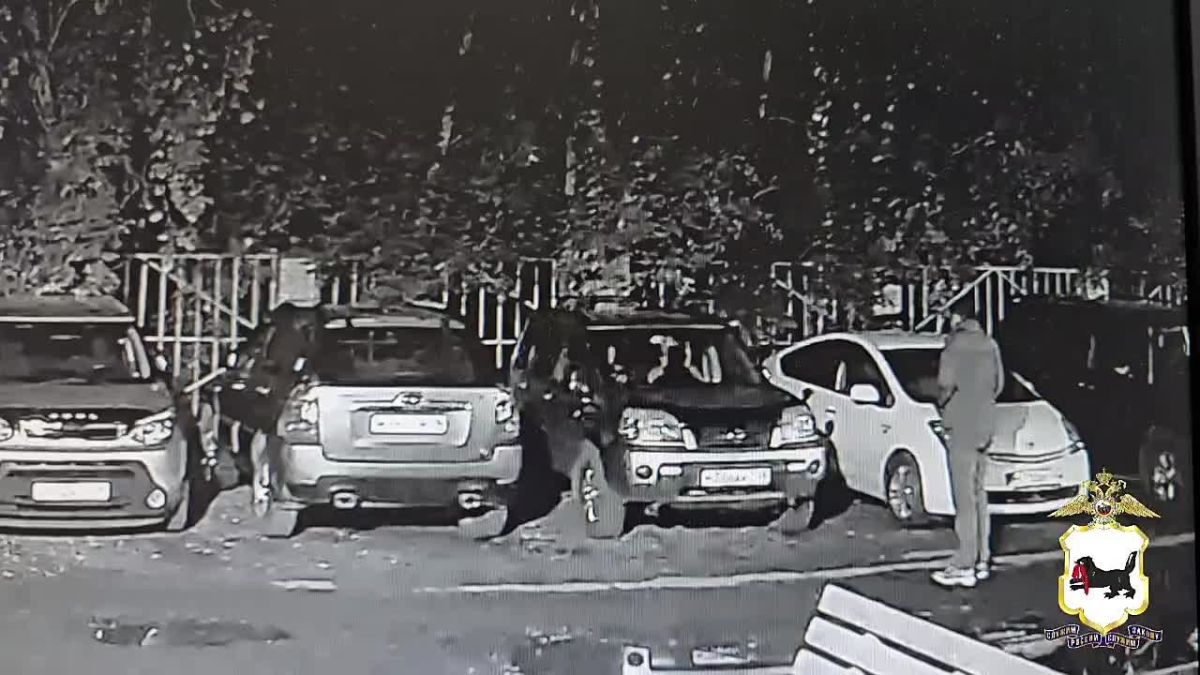 В Ангарске полицейские задержали работника шиномонтажной мастерской и его знакомого, специально прокалывавших колеса припаркованных во дворах машин