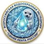 ИДЁТ РЕГИСТРАЦИЯ НА «СИНЮЮ ЛЕНТУ РОССИИ»!