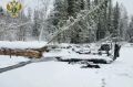 В Нижнеудинске осудили судовладельца, по вине которого погиб пассажир