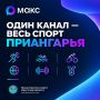 Спортивные новости, анонсы мероприятий также можно читать на канале министерства спорта Приангарья в мессенджере «МАКС»