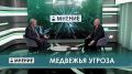 Медвежья угроза. Что может остановить агрессию животных ? "МНЕНИЕ" от 28.09.2026