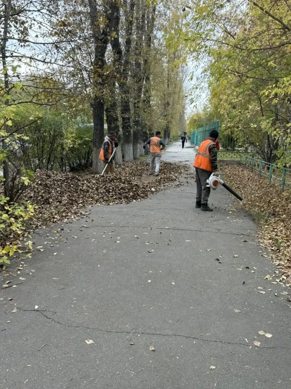 Уборку опавшей листвы ежедневно проводят в Иркутске