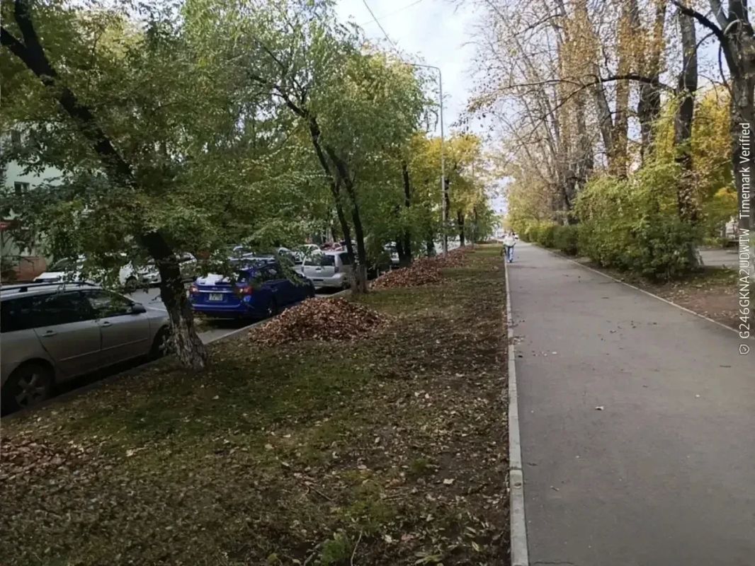 Уборку опавшей листвы ежедневно проводят в Иркутске Уборку опавшей листвы ежедневно проводят в Иркутске