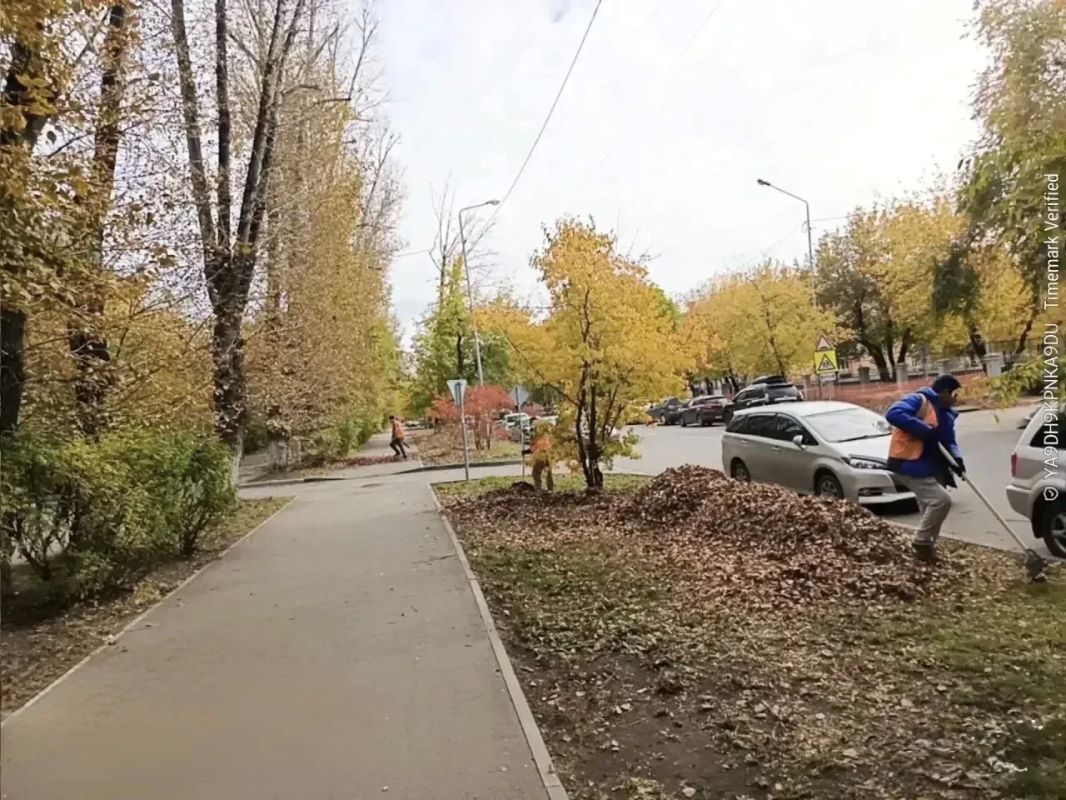 Уборку опавшей листвы ежедневно проводят в Иркутске Уборку опавшей листвы ежедневно проводят в Иркутске
