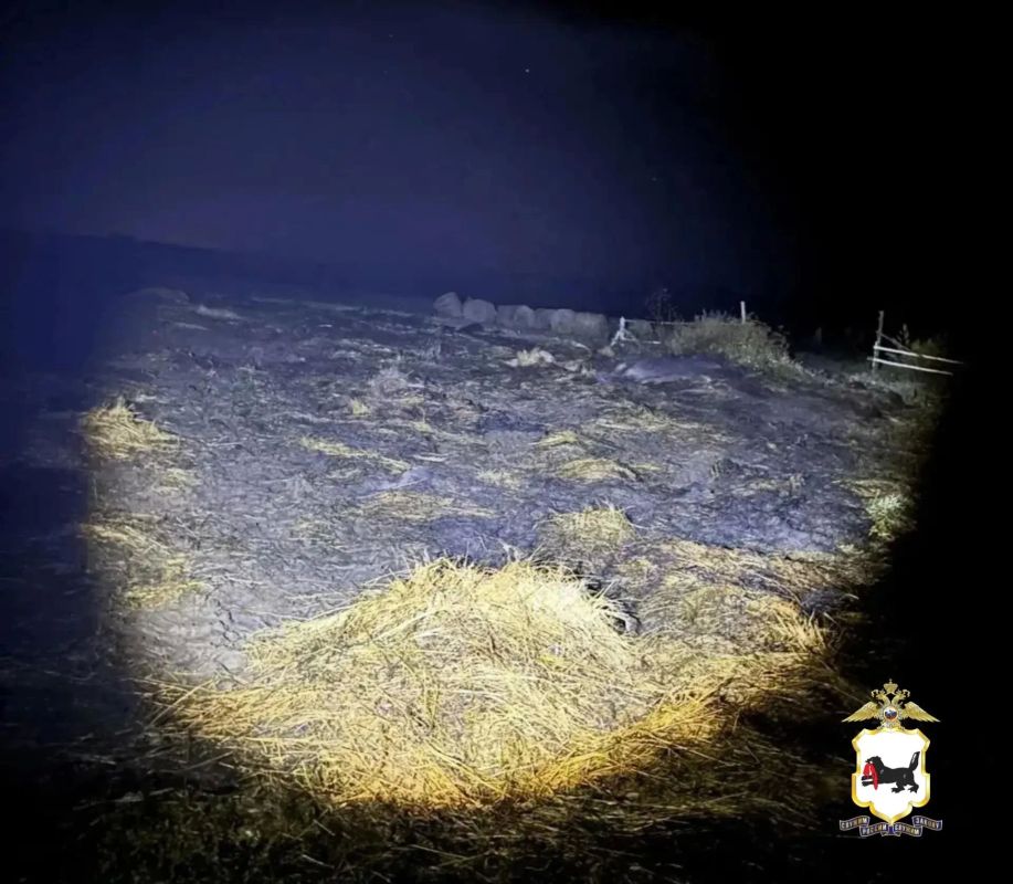 В Заларинском районе полицейские установили подозреваемых в краже и угоне мотоцикла из-за свиньи В Заларинском районе полицейские установили подозреваемых в краже и угоне мотоцикла из-за свиньи