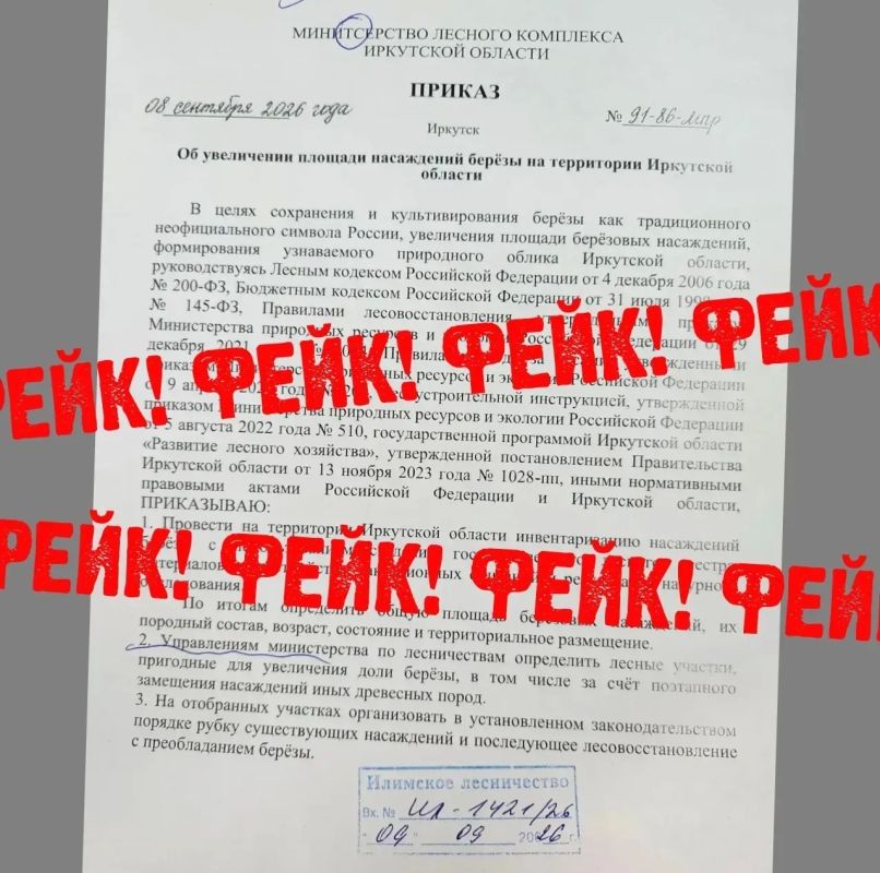 Березами не будут заменять леса в Иркутской области