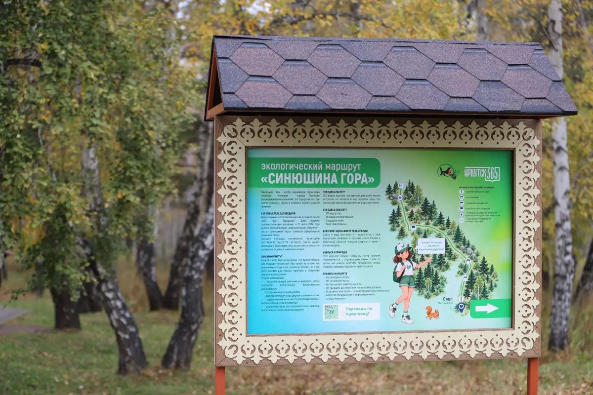 Первый в Иркутске экологический маршрут с аудиоэкскурсией появился в роще «Синюшина гора»