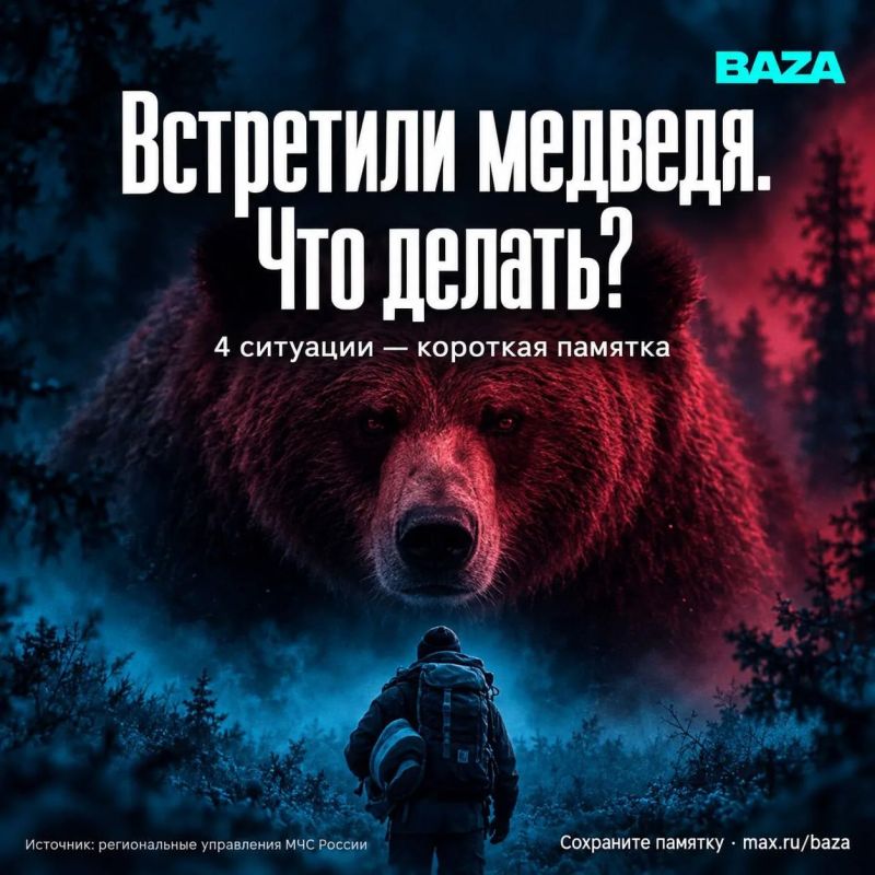 Медведи всё чаще выходят к людям