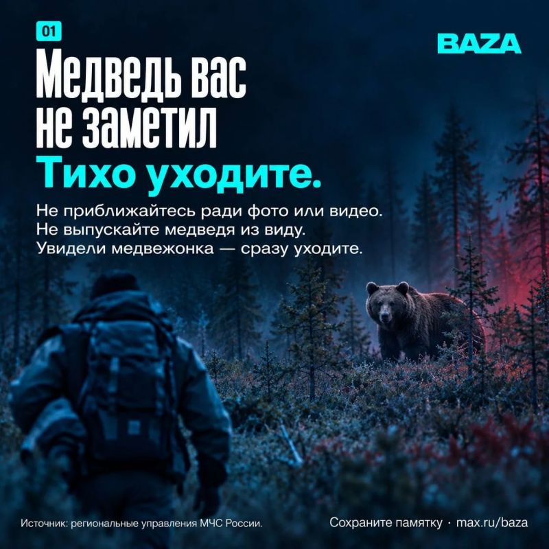 Медведи всё чаще выходят к людям Медведи всё чаще выходят к людям