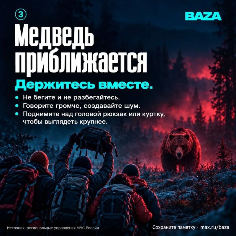 Медведи всё чаще выходят к людям Медведи всё чаще выходят к людям