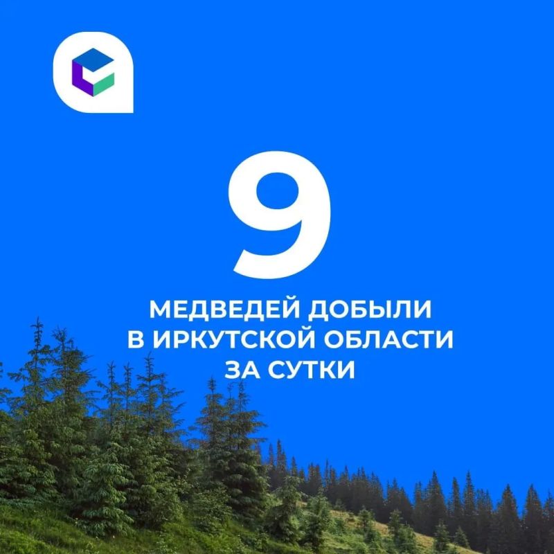 За прошедшие сутки в Иркутской области добыли 9 медведей