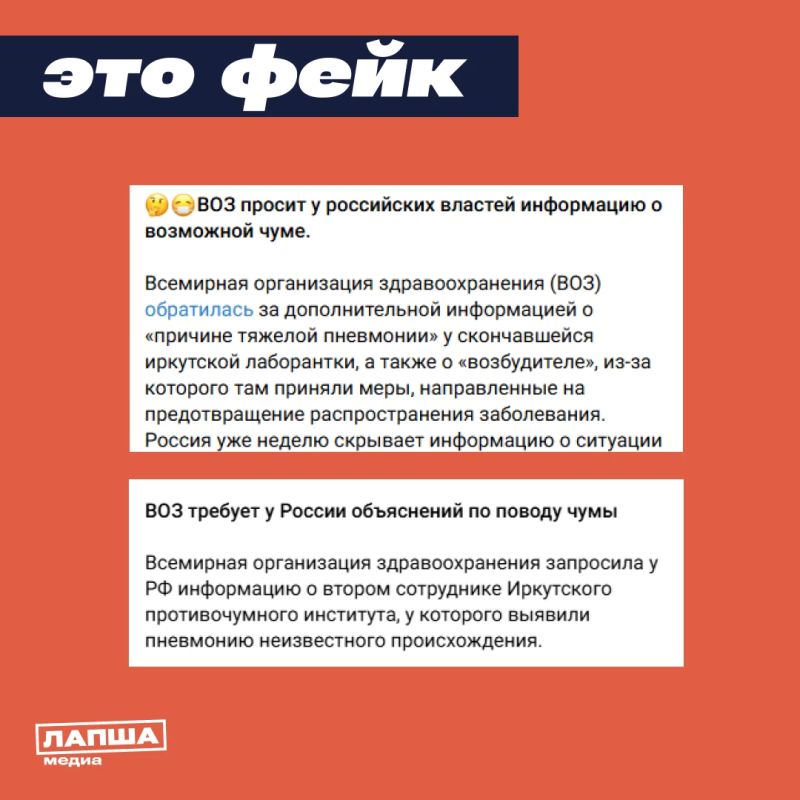 ВОЗ требует у России разъяснений по поводу чумы, вспышку которой якобы пытаются скрыть, пишут антироссийские каналы