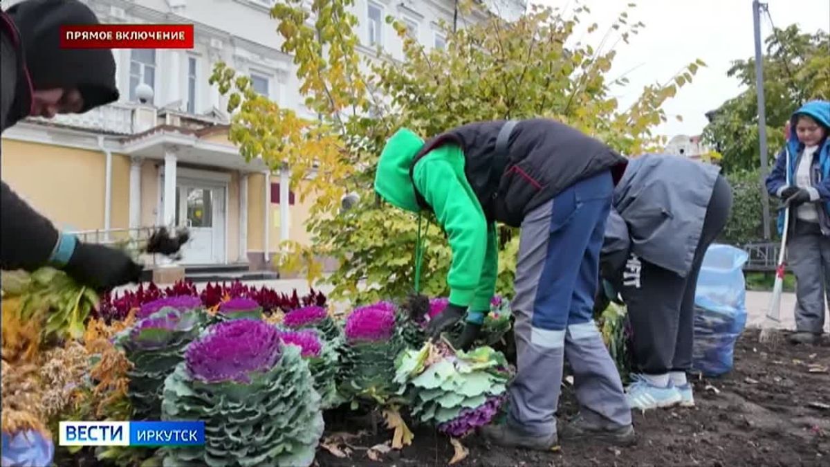 Завершить уборку цветов с городских клумб Иркутска планируют до конца недели