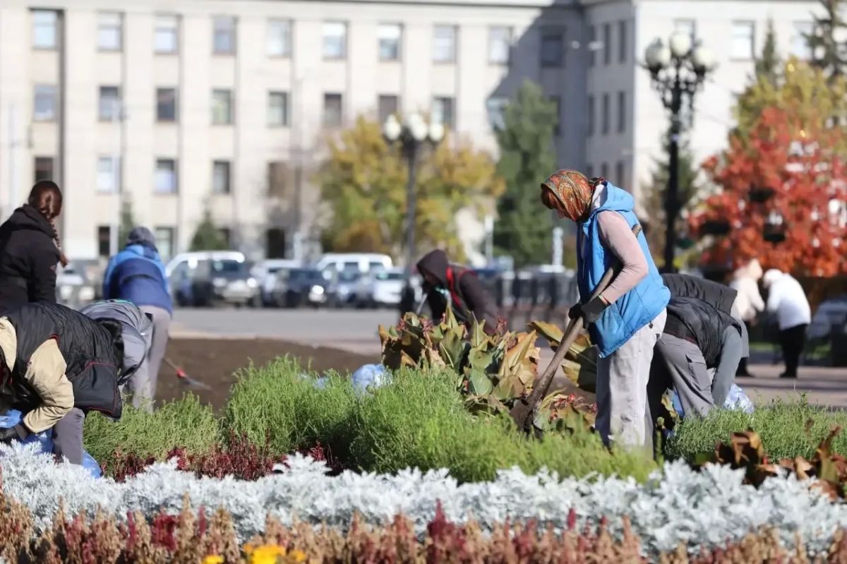 До новых цветочных встреч! В Иркутске завершают уборку однолетников с городских клумб До новых цветочных встреч! В Иркутске завершают уборку однолетников с городских клумб